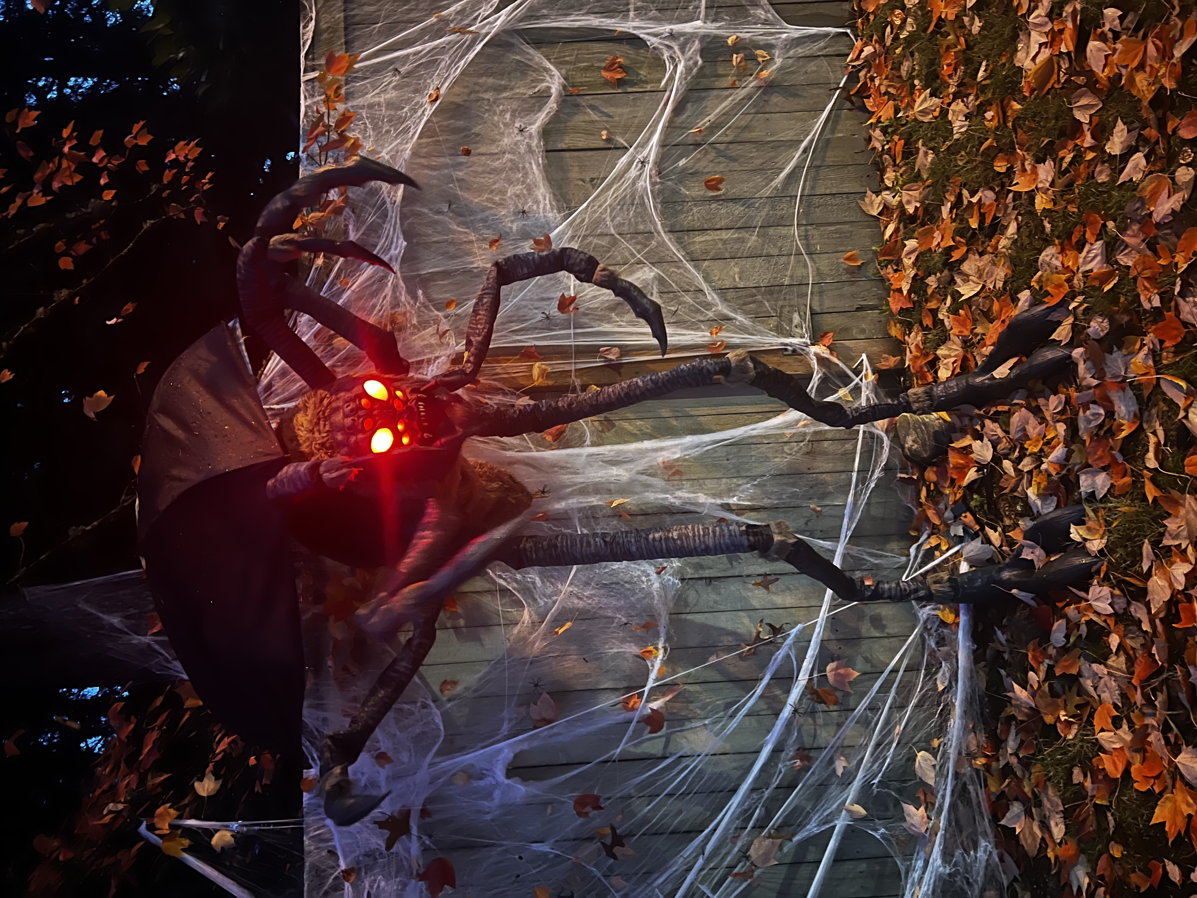 Trick or Treating